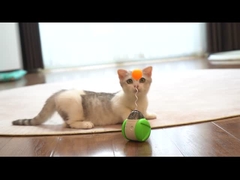 Scooter d'équilibre à commande vocale pour chats