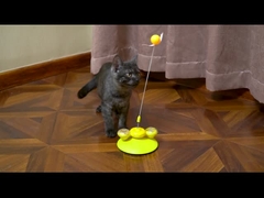 Donut Delight Cat Toy - Teaser tournant à base de ressort avancé