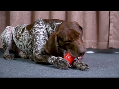 Des côtes durables et grinçantes