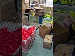 ligne de découpage 3