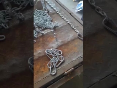 Limitation de charge de travail de 2 t Chaîne de liaison G70 enduite de zinc avec crochet de prise de 2 clevis garantie