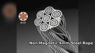Câble métallique non magnétique de l'acier inoxydable 316 de 4mm