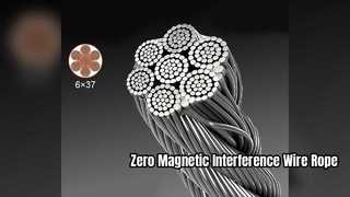 Câble métallique non magnétique de l'acier inoxydable 316 de 4mm