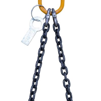 acheter Capacité de charge de 40 tonnes 20Mn2 Chaîne de levage Chaîne de levage avec maîtrise 12M Longue double jambe online manufacture