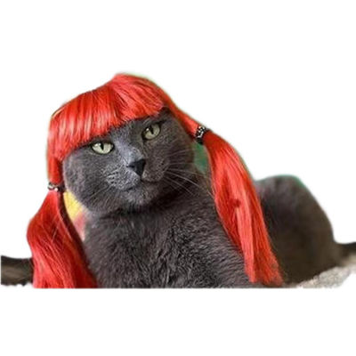 Élégante perruque noire et bouclée pour chiens et chats - Luxueuse, douce et réglable, parfaite pour les événements formels et les séances photo