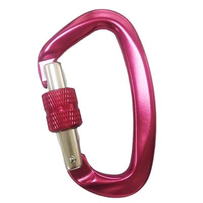 acheter Matériel galvanisé Aérospatiale Aluminium Carabiner en forme de D équipement essentiel pour l'escalade online manufacture